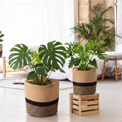 Xuhal 3 Pcs Plant Basket Woven Storage Basket Boho Planter Baskets Modern Woven Flower Tree Pots for Home Decor Blankets Organization