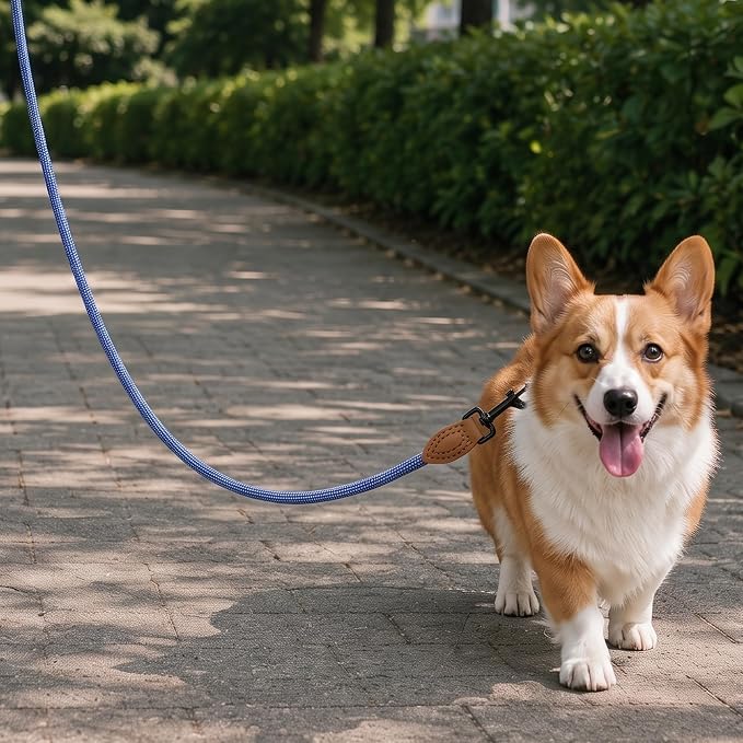 Mile High Life Rope Leash with Genuine Leather Connection, 6 FT/5 FT/4 FT, Heavy Duty Leash for Medium & Large Dogs (Blue White, 72 Inch)