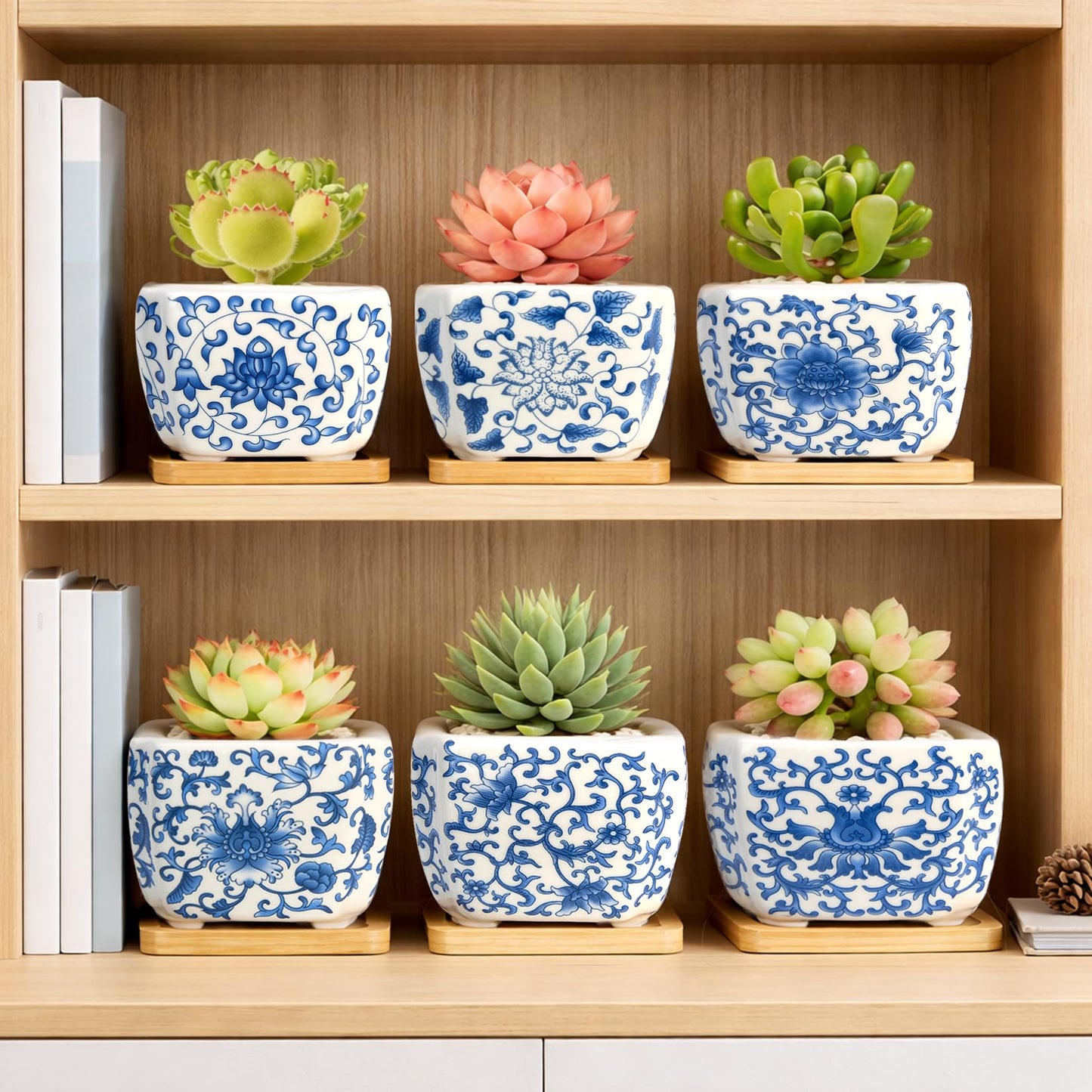 celamos Succulent Pots 6 Pack, Small Flower Pots with Drainage Bamboo Tray, Succulent Pots for Indoor Plants, Cactus Pots and Planters, Decorative Small Pots for Home Office