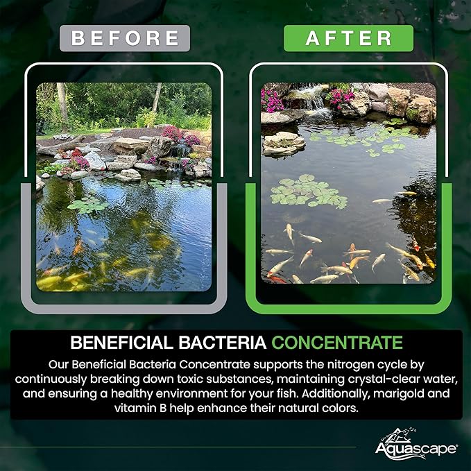 Aquascape Dry Beneficial Bacteria for Pond and Water Features, 4.4-Ounce | 98925,White