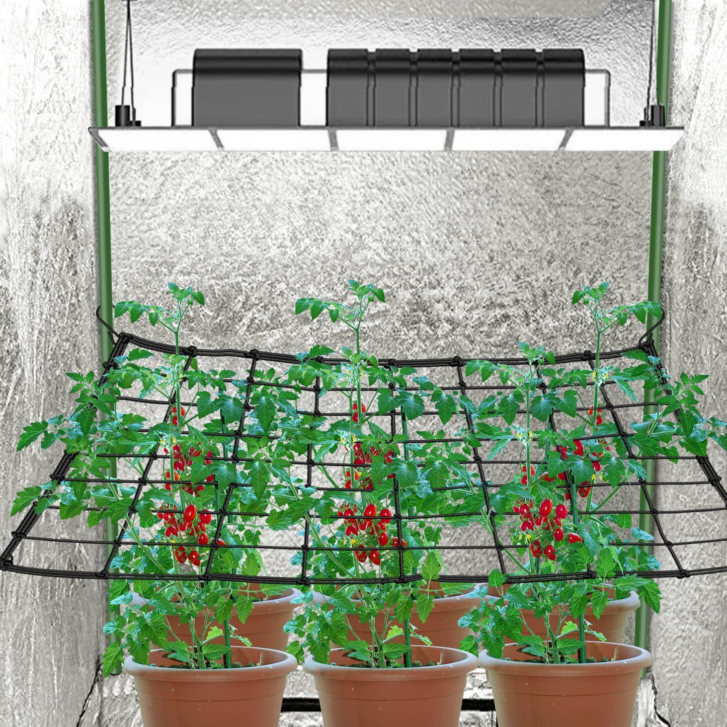 BSTPCOO 2x4 Trellis Net for Grow Tent, Stretchy Scrog Net Heavy Duty Trellis Netting with Hooks for Climbing Plants Outdoor Indoor Plant Growing Tents, Cucumber Trellis Netting Support for Garden