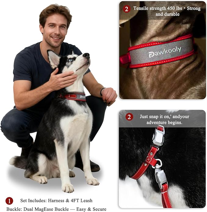 MagEase Dog Collar with 4FT Leash | Adjustable | Anti-Wrinkle, Bite & Stain-Resistant Leather | Soft & Skin-Friendly | 450LB Escape-Proof Magnetic Buckle (Red, Large)