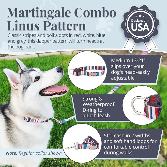 Lucky Love Dog Martingale Dog Collar & Leash - Adjustable, No-Slip, Durable, Comfortable, Soft Webbing, & Stylish Patterned Dog Collar & Leash Set for Male and Female Dogs - Linus Combo, Medium