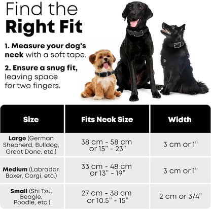 Regal Dog Products Small Black Waterproof Dog Collar and Leash Set | Heavy Duty Double Buckle & D Ring - 5'ft Leash | Adjustable Biothane Dog Collar | Chew Resistant Waterproof Collar for Dogs