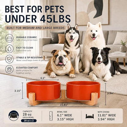 Petygooing Ceramic Cat Dog Bowl Set with Stand,Pet Food and Water Dishes,Medium Dog Bowls Anti -Slip Set of 2 Cat Dish Pet Food Bowls- Small Medium Size Pet (28OZ/6.1 in) Rust Red