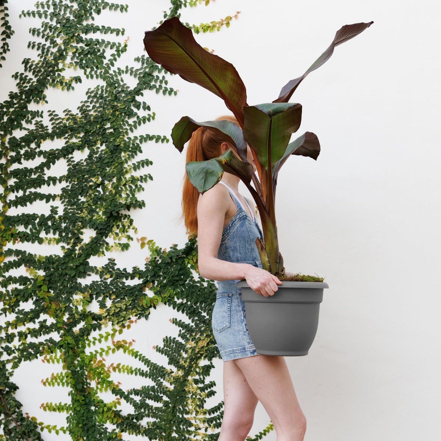 Bloem Ariana 12" Self-Watering Plastic Planter - Rolled Rim Indoor/Outdoor Garden Pot, Charcoal, 2-Pack