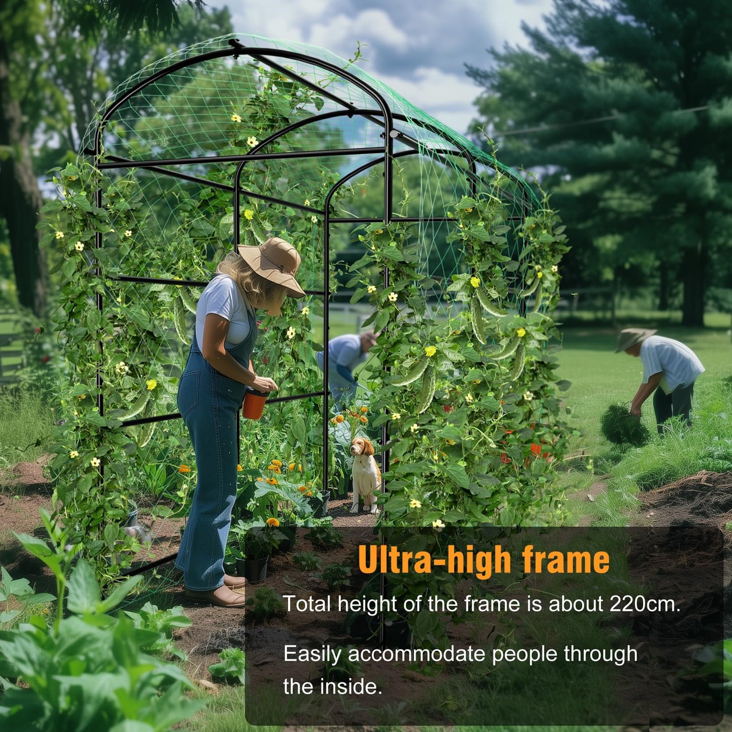 unho 87inch Metal Garden Trellis Arch for Climbing Plants - Polyethylene-Coated Anti-Rust, Heavy Duty, Wide Walk-Through Outdoor Arch with Net, for Cucumber Tomato Squash Zucchini Peas Grape Flowers