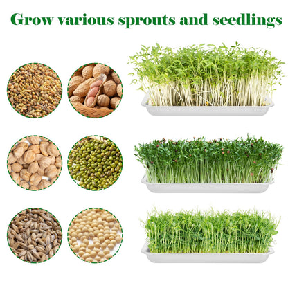 7 Pack Plant Germination Trays, Stainless Steel Plant Trays Metal Trays Stainless Steel Seed Starter Carry Trays Nursery Seedling Pots Water Collection Transplantation for Indoor Germination Sprouts