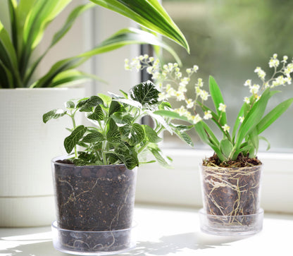 Phoenix Vine 3.5 Inch 4.5 Inch Clear Acrylic Houseplants Planter Pot with Tray, Orchid Pot with Drainage Holes, Deep Saucer for Bottom Watering, Transparent Containers for Indoor Plants, Herbs, 91-B-V