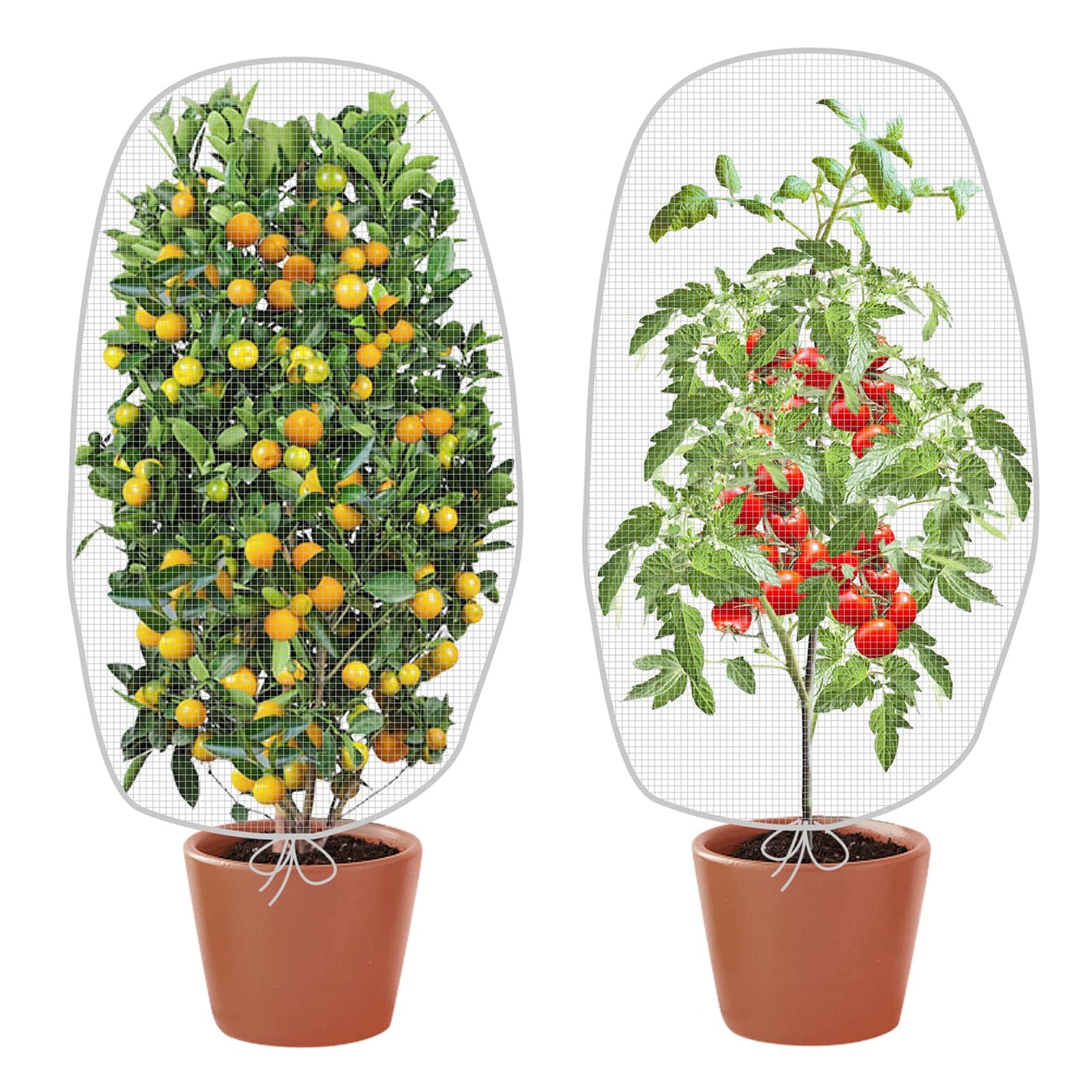 Alpurple 2Pcs 4.6 x 3.9 Ft Garden Plant Netting Mesh Barrier Bags- Fruit Tree Net with Drawstring- Tomato Plant Protective Netting Cover for Protect Plant Fruits Citrus Flower from Insect Bird Eating