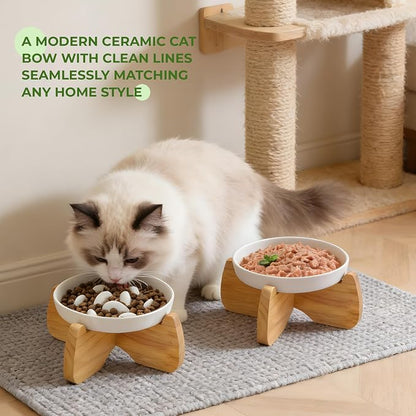 Raised Ceramic Cat Bowls 6.3" Flat & Slow Feeder Bowl (One of Each) | Anti-Gulping & Keep Fit, Water Bowl & Food Bowl, Dishwasher Safe, Neck Protective, Anti Whisker Fatigue