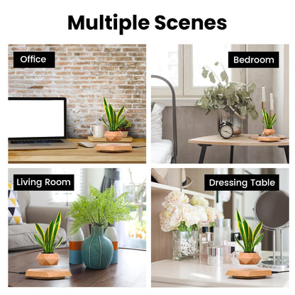 Leekimid Levitating Plant Pot, Magnetic Levitation Flower Pot Suspension Floating Plant Succulents, Air Bonsai Potted Plant for Home Decoration, Living Room, Office, Desk (Wood)