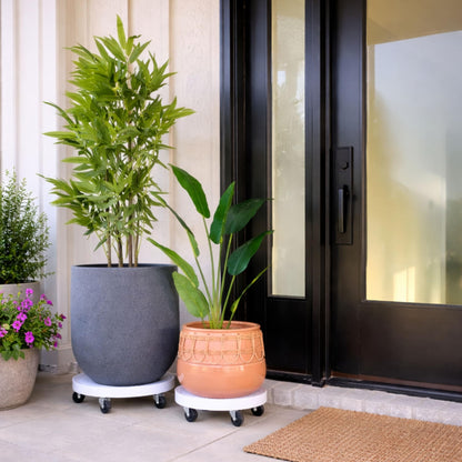 16" Rolling Plant Caddy with Drain Hole, Heavy Duty Plant Dolly with Wheels & Locking Wheel, Indoor Outdoor Planter Base for Pots, Round Plant Tray, White, Supports 500 lbs