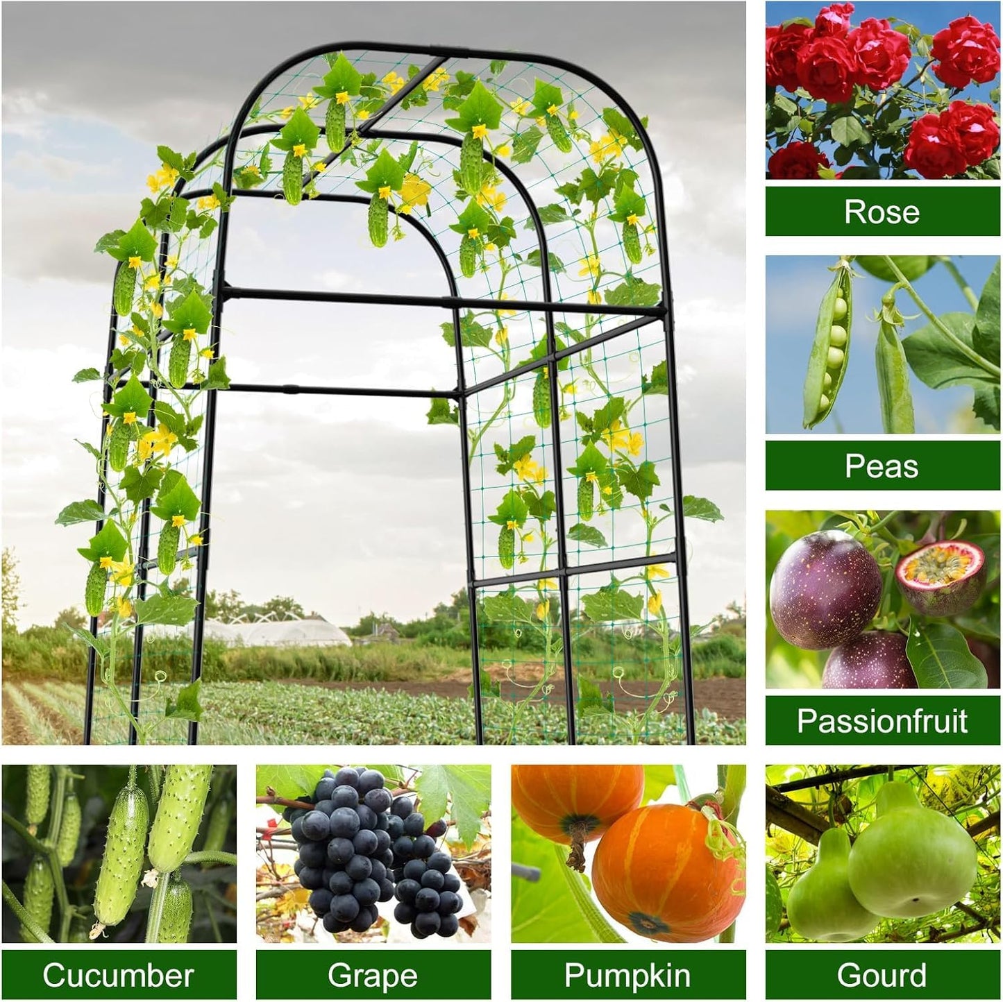 7.3FT Cucumber Trellis for Raised Bed, Garden Arch Trellis with Net, Rustproof Metal Plant Support for Climbing Plants Outdoor, Tomato Zucchini Squash Bean Pea Melon Vine, Rose Flower Garden Arbor