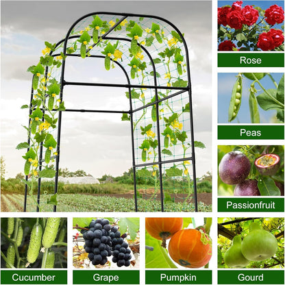 7.3FT Cucumber Trellis for Raised Bed, Garden Arch Trellis with Net, Rustproof Metal Plant Support for Climbing Plants Outdoor, Tomato Zucchini Squash Bean Pea Melon Vine, Rose Flower Garden Arbor