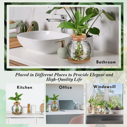 Baderke 2 Packs Propagation Vases for Plants Plastic Plant Propagation Station with Hole Lid and Cork Coasters Plant Growing in Water Hydroponic Home Office Table Decoration(Fish Bowl Style)