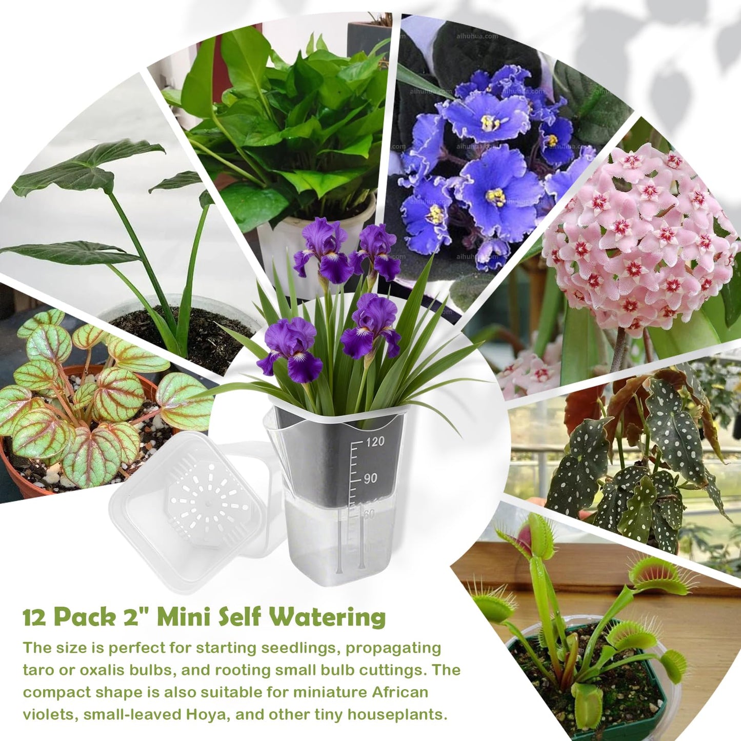 Shgxjjnb 16 Pack 2" Clear Self Watering Pots for Indoor Plants, Mini Clear Plastic Planters, with 16 Plant Label and Water Level and Drainage Holes for Seedlings, Cuttings, Succulents (Small)