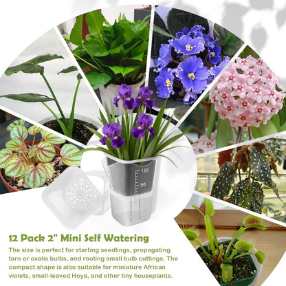 Shgxjjnb 16 Pack 2" Clear Self Watering Pots for Indoor Plants, Mini Clear Plastic Planters, with 16 Plant Label and Water Level and Drainage Holes for Seedlings, Cuttings, Succulents (Small)