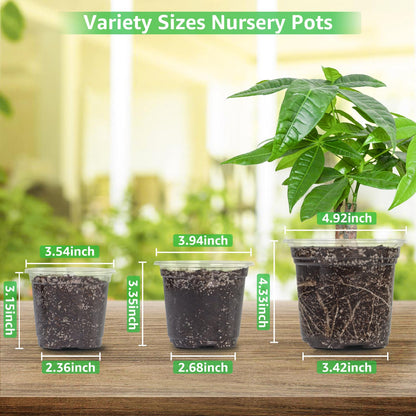The Bundle of Bonviee 5 Packs Seed Starter Tray with Grow Light and 36 Packs Variety Sizes Clear Nursery Pots