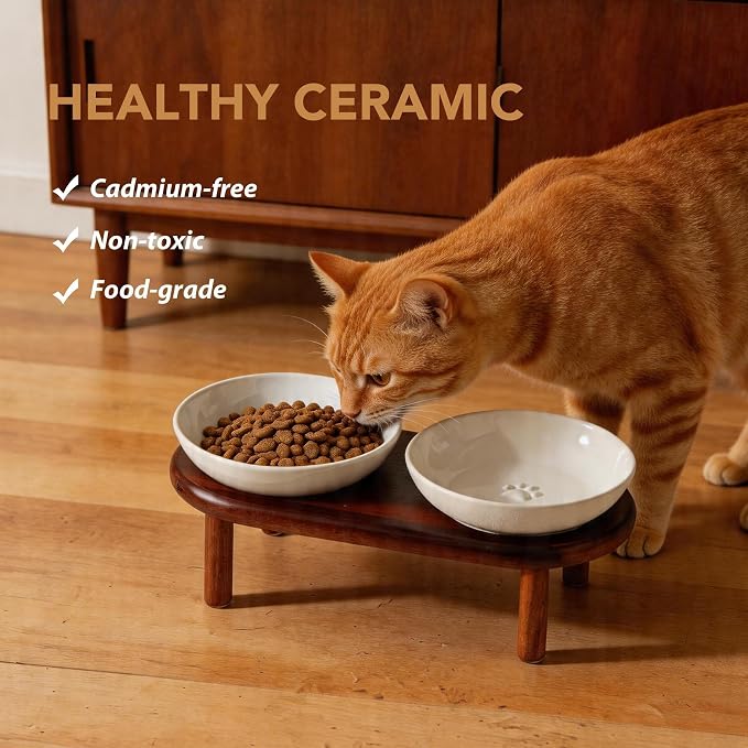 Havniva Elevated Cat Bowls Raised Ceramic Cat Bowl, 5.7” Wide Opening Cat Food Bowl Whisker Friendly Cat Dish Anti-Slip with Wood Stand, Shallow Pet Food & Water Bowl for Indoor Cats