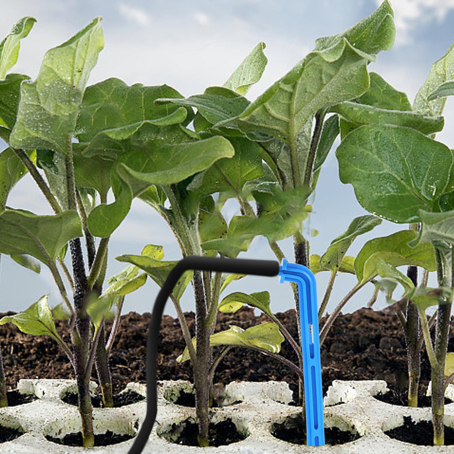 SEWACC 100pcs Automatic Drip Irrigation Stakes, Indoor Plant Watering System with Blue Multi- Drip Emitters for Flower and Seedlings