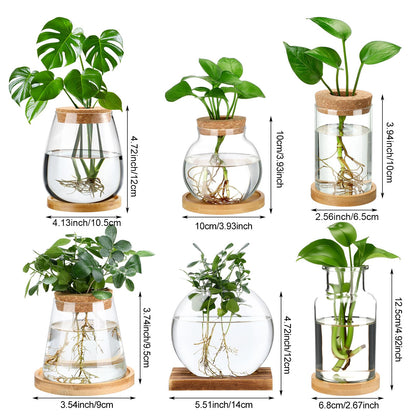 Honeydak 6 Pcs Plants Propagation Stations Planter Terrariums with Wooden Lid and Bamboo Stand Desktop Glass Propagation Vases for Plant Growing Hydroponic Home Office Tabletop Decoration
