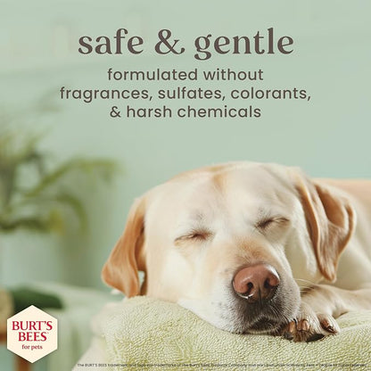 Burt's Bees for Pets Manuka Honey Oatmeal Shampoo for Dogs, Colloidal Oatmeal & Coconut Oil, 95%+ Natural Origin, No Sulfates, Parabens or Phthalates, Milk & Honey Scent, 16 Fl Oz