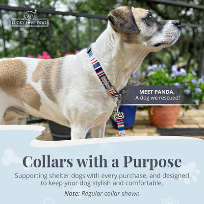 Lucky Love Dog Martingale Dog Collar - Adjustable, No-Slip, Durable, & Soft Webbing Collar for Male and Female Dogs Ideal for Training & Walking - Linus, Large