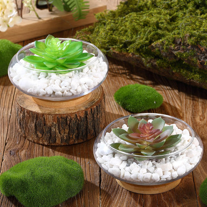 Baderke 8 Sets Glass Planter Bowls for Flowers with Tray 6'' Round Glass Vase Bowl Hydroponic Lotus Planter Pot Propagation Vases Fish Bowl for Plants Indoor Windowsill Kitchen Desktop Wedding Decor