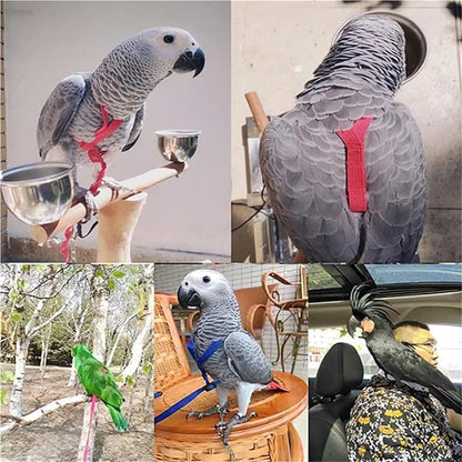 Pet Parrot Bird Harness and Leash, Adjustable Training Design Anti-Bite, Bird Nylon Rope with Cute Wing for Parrots, Suitable for Scarlet, Keck, Mini Macaw and Same Size Birds (01)