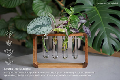 Source & Plot Plant Propagation Station - Acacia Wood Stand with 4 Glass Test Tubes, Tabletop Hydroponic Terrarium Planter Rack for Rooting & Houseplant Decor, Gift for Plant Lovers
