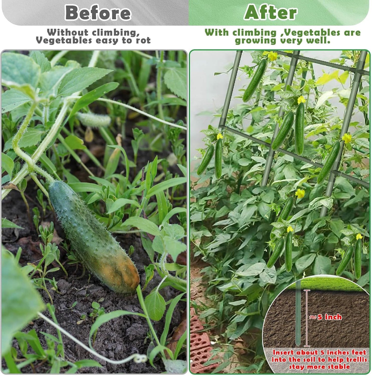 Garden Arch Trellis for Climbing Plants Outdoor, Garden Arch for Climbing Vine Vegetable/Fruit/Flower, Cucumber Trellis for Raised Bed (Green, 15.7" W x 48" H)