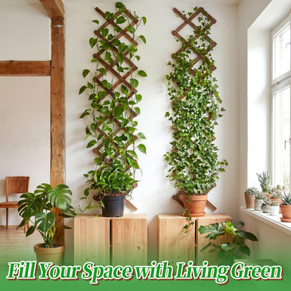 2Packs 13x78in Expandable Wood Wall Trellis for Climbing Plants Outdoor - Lattice Panels for Outside Indoor Balcony Patio Garden, Ideal for Ivy, Vines, Clematis, Roses