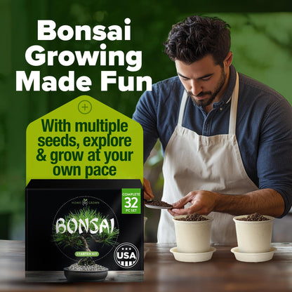 Bonsai Tree Kit Gifts for Men & Women - Grow 4 Bonsai Trees - Unique Gardening Crafts for Adults, DIY Hobbies for Plant Lovers & Gardeners - Unusual Christmas Gift Ideas for Mom & Dad