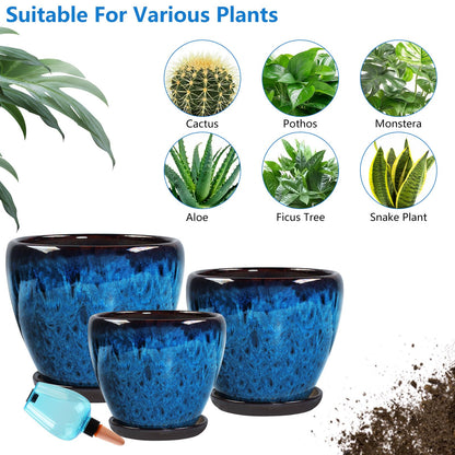 Xoogifae Ceramic Pots for Plant with Self Watering Globes, 6 inch Planters for Indoor Plants with Saucer, Glaze Flower Pots Outdoor with Drainage Holes, Decorative Garden Pots