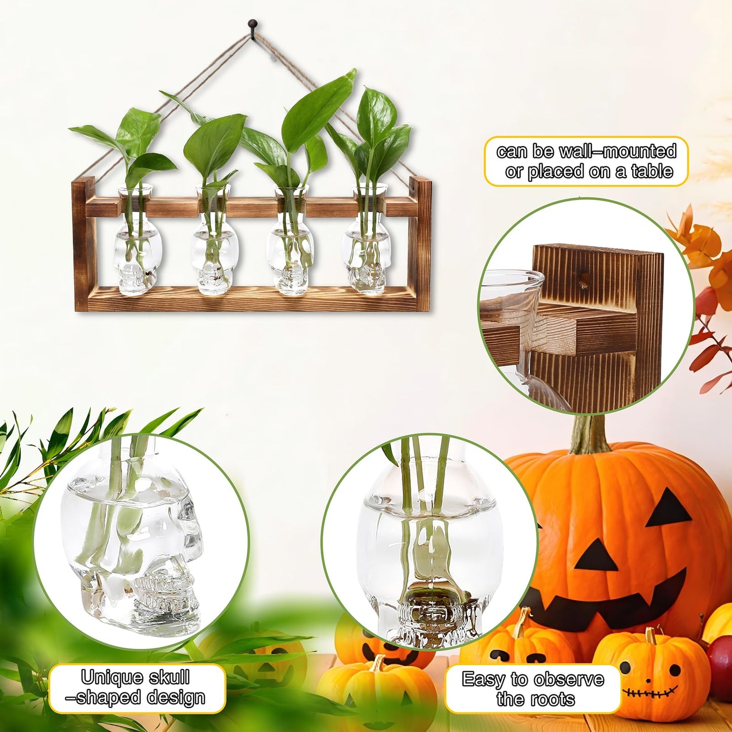 CYZglass Plant Propagation Stations Halloween Skull Plant Terrarium Kit Glass Vases Gift for Father Air Planter Home Office Decor