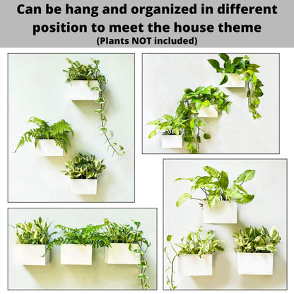 LaLaGreen Wall Planter - 3 Pack, 6 Inch Wall Mount Planters for Succulents White, Rectangular Metal Hanging Flower Pot, Window Box Fence Railing Air Plants Holders Plant Shelf Indoor Rustic Decor