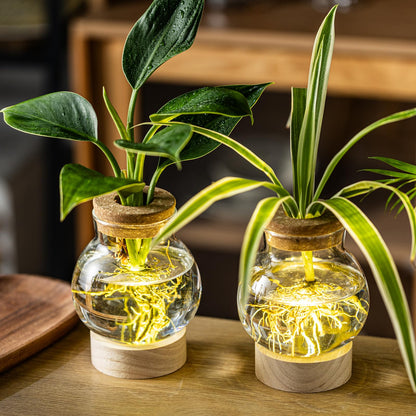 Propagation Stations, Plant Propagation Station with Light Base, Glass Propagation Vases, Hydroponic Vase for Plants, Glass Terrarium for Home Office Windowsill Tabletop Decoration (5)