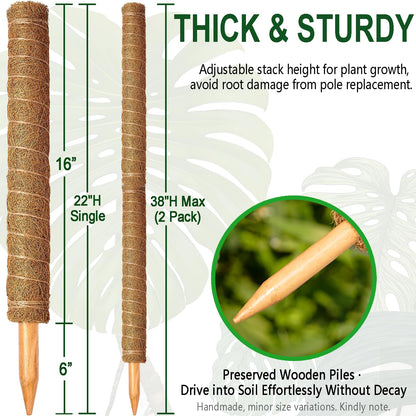 Soupiar 2 Pack 22 Inch Stackable Moss Pole - Thick & Sturdy Natural Coir Totem Plant Support & Garden Stakes for Monstera & Pothos, Indoor Climbing Vining Houseplants, 38" H Max