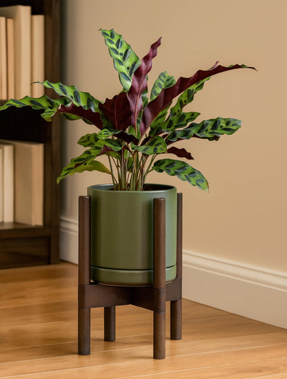 D'vine Dev Ceramic Planter with Walnut Color Stand - 8 Inch Modern Round Flower Pot with Wood Planter Holder, Olive, 55-B-Y-J
