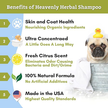 Wholistic Pet Organics Pet Shampoo Concentrate: USDA Organic Cat and Dog Shampoo for Sensitive Skin and Coat Support - Mild and Non-Irritating, Natural, Non-Toxic, Sulfate-Free, & Cruelty-Free - 8 Oz