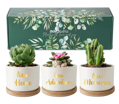 InnoBeta House Warming Gifts Succulent Plant Pots 3pcs, Gifts for House Warming, Planter Pot with Bamboo Tray for New Home, Plants NOT Included