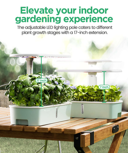 LPH-Air Hydroponics Growing System with 172 PCS Seed Plant Kits