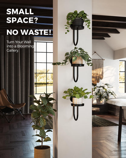 Bamworld Hanging Planters for Indoor Plants Wall Plant Holder Plant Hanger Indoor Wall Planters Window Plant Shelves Hanging Plant Holder Window Plant Hanger Plant Decor Black 3pcs