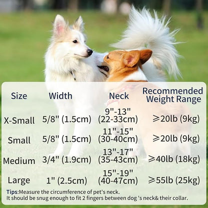 Mile High Life Genuine Leather Dog Collar, Durable Braided Cotton Rope Collar with Metal Pin Buckle for Small Medium Large Dogs (Beige, S Neck 11"-15")