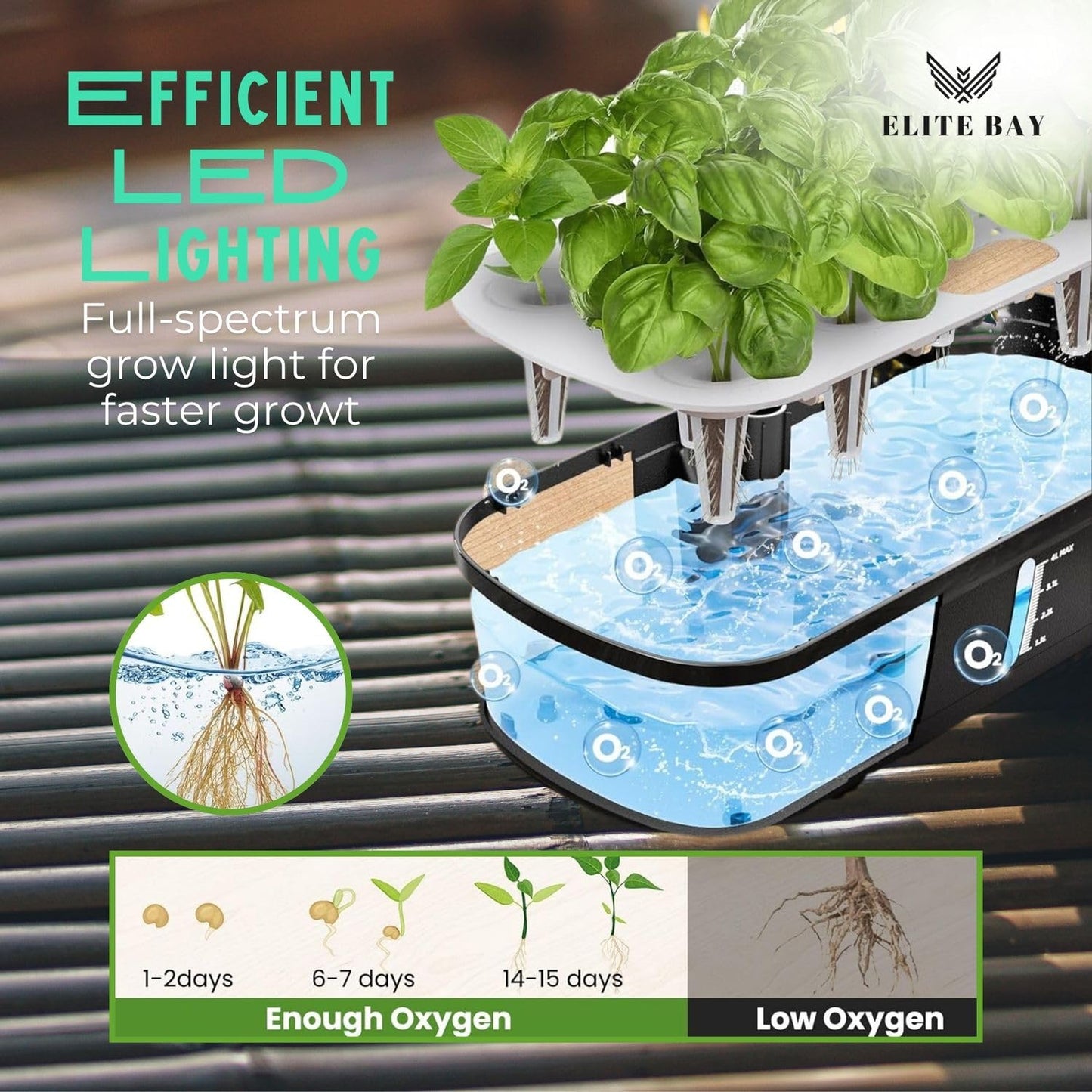 ELITE BAY-Hydroponic Growing System 12 Pods – Smart Garden with LED Display, Full-Spectrum Grow Light & 4L Water Tank | AU/US Plug | Soil-Free Planter Kit | Black |for Home, Office & Kitchen.