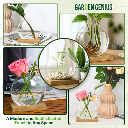 Single Glass Propagation Station with Wooden Base – Hydroponic Plant Terrarium for Home & Office | Ideal Christmas, New Year & Birthday Gift for Plant Lovers, Moms | Desktop Windowsill Planter Vase