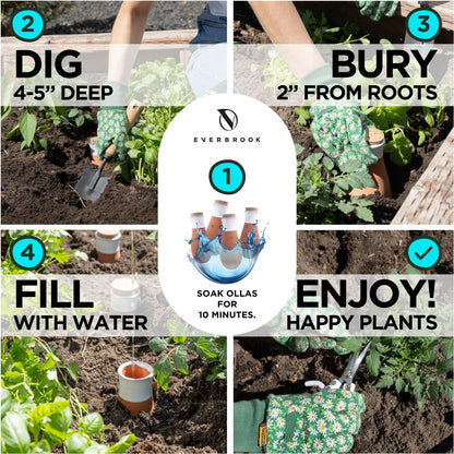 Everbrook Plant Self Watering Globes - Terracotta Watering Spikes - Slow Release Olla Watering Pots - Drip Irrigiation Olla System