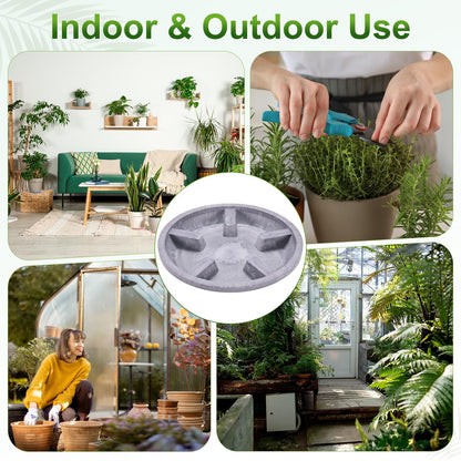M METERXITY 2-Pack Plant Saucer, 6.3 Inch/16 cm Plastic Plant Trays Thicker for Pots/Indoor/Outdoor/Water Drainage and Protection, Flowerpot Drip Tray [Purple Veins]