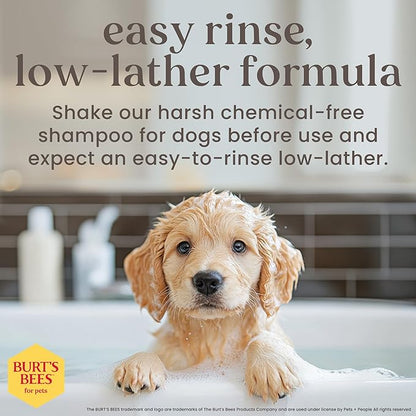 Burt’s Bees for Pets Tear Free Puppy Shampoo & Conditioner with Buttermilk, 2 in 1 Gentle Dog Shampoo for Puppies, Cleans and Conditions Sensitive Skin, 16 Fl Oz - 2 Pack